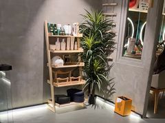 -施奈儿.洗头頭療.按摩SPA.采耳(上梅林店)