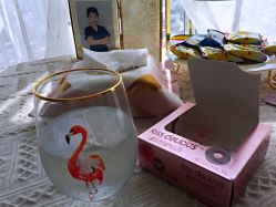 -Yukina Plus专业日式美肌