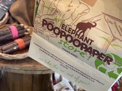 -大象粑粑造纸公园