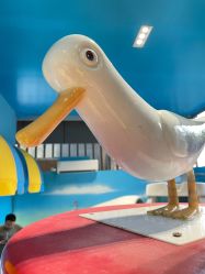 -尼克Playtime(欢乐海岸店)