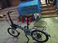 -道路口单车爱瓦士dahon大行