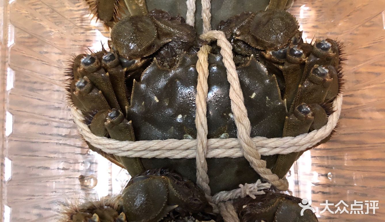 随手拍，生活片段。