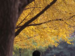 -辽宁大学(崇山校区)