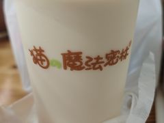 -猫的魔法密林(衣裳街店)