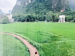 -明仕田园