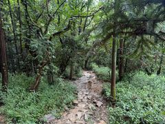 -虞山风景区