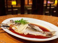 -宁波柏悦酒店·钱湖渔港