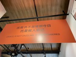 -IDOL-PLUS