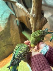 -酷嗒动物文化乐园(cutezoo西溪乐天城店)