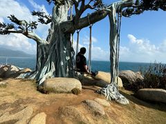 -海南分界洲岛旅游区