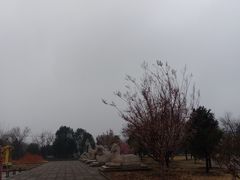 -北京十三陵国家森林公园蟒山景区