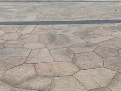 -天鹅湖体育公园