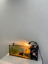 -HEYAN荷妍专业脱毛连锁机构