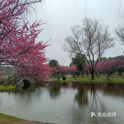 【橘子洲景區-沙灘公園】電話,地址,價格,營業時間(圖) - 長沙周邊遊