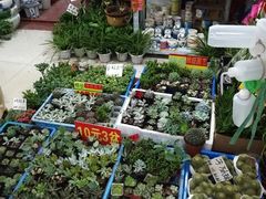 -无锡文化工艺品市场(槐古路店)