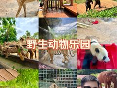 -海南热带野生动植物园