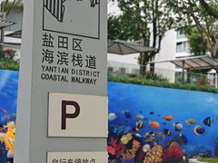 -大梅沙海滨公园