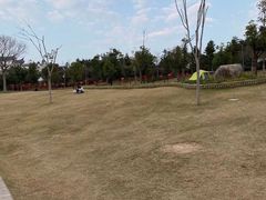 -牛岗山公园
