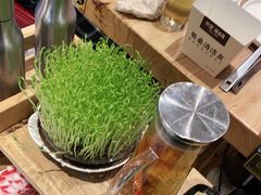-好彩猪肚鸡(正弘城店)