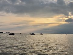 -广东惠东海龟国家级自然保护区