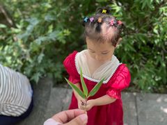 -牛背梁国家森林公园