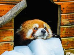 -常州淹城野生动物世界