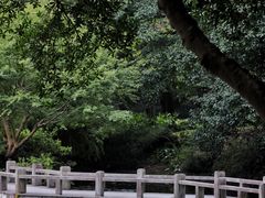 -杭州植物园