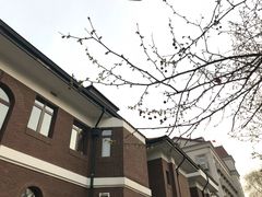 -陆壹捌餐厅(五大道店)