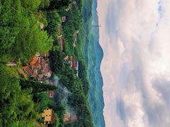 -四明山国家森林公园