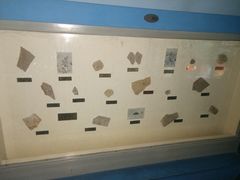 -上海昆虫博物馆