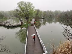 -西溪国家湿地公园