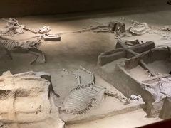 -洛阳周王城天子驾六博物馆