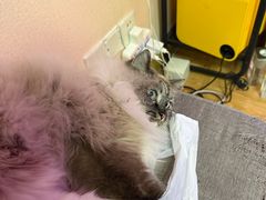 -剧狐剧本杀·月球探案馆(人民广场1号店)