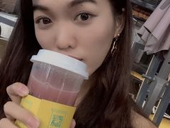 -野萃山·潮汕厚果汁(十亩地店)