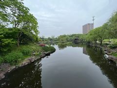 -日出青木