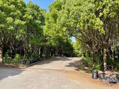 -胜华驾校·小猫学车(银都店)