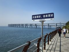 -星海湾跨海大桥