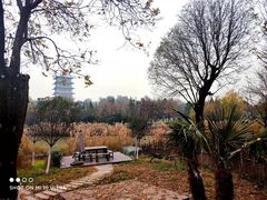 -Supine Bistro溯泮餐厅