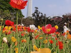 -二沙岛艺术公园