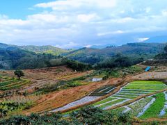 -牙胡梯田景区