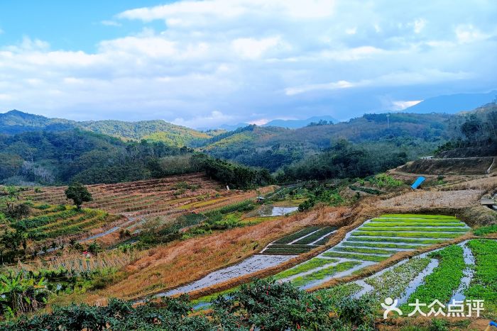 牙胡梯田景区图片