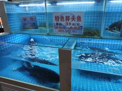 -肖记公安牛肉鱼杂馆· 省级非物质文化遗产(仁和路店)