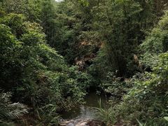 -大雁山风景区