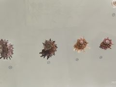 -青岛贝壳博物馆