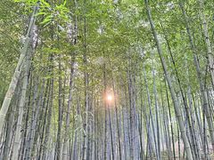 -句容茅山景区