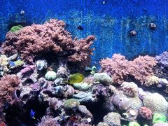 -珠海长隆海洋王国