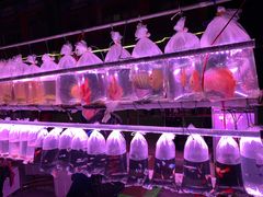 -华声天桥民俗文化园