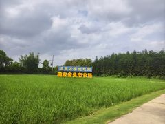 -迪茵湖田家舍生态农场