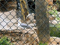 -石家庄市动物园