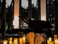 -海南清水湾莱佛士酒店